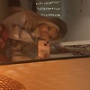 shannon_87083