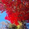 marcoroma74-