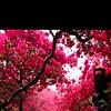 harshi_89476