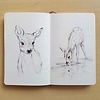 DeerOla