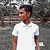 gimsara_95330