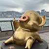 wen_84187