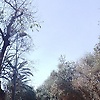 Kimbora_999