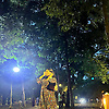 emaratjaha_29013