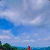 lilie_47370
