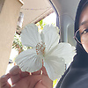 moonie_75156