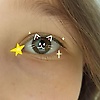 lily_16339