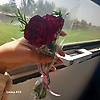 samar_56413