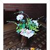 farah_d