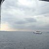 keii_11423
