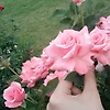 nur_20751