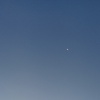 shintaardi_25196