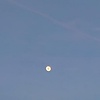 ror_97279