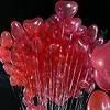 altinay_27830