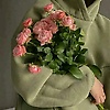 dodo_40918