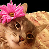 evelyn_26390