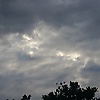 sartji_61596