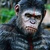 MisterMonkey
