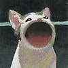 Zera_chan