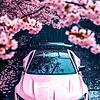 nate_25431