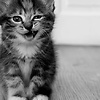 LucifeR2