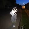 Ace_25969
