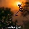 amr_17007