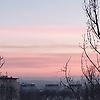 sofia_92754