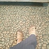 rini_51381