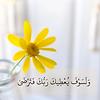 user_948161