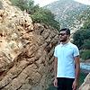 ali_553314
