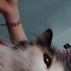 Yasmine_33549