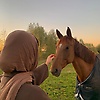 malak_25976