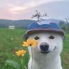 akram_22241