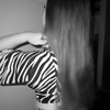 rayssardg_