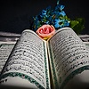 farya_98415