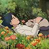 arimando_47961