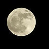 kyuti_77208
