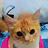 momo_89490