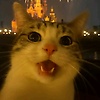 nayra_95530
