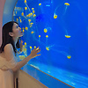 Celestial_Journey
