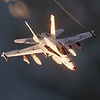 wing_42