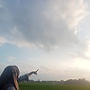 nay_24241