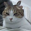 jenny_91077