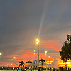 mylena_49826