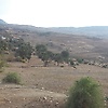 oppk_92451