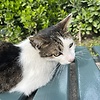 Tamara2003_