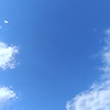berke_89849