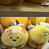 xiaohe_37427