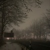 Liza_has